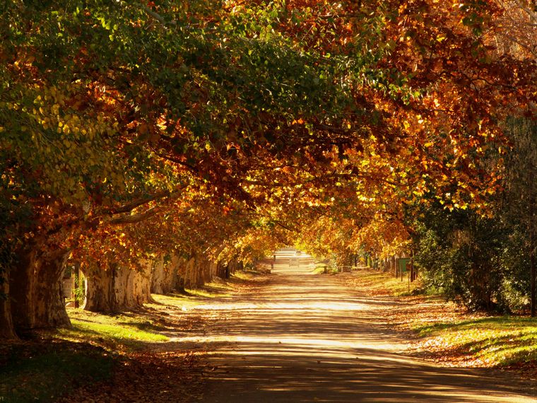Camino Real Norte de Córdoba