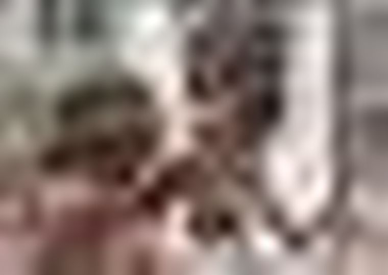 Las imágenes enternecieron las seguidores. (Foto: Facebook Austin Wildlife Rescue)