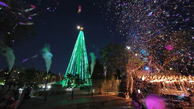 encendido de Arbol de Navidad