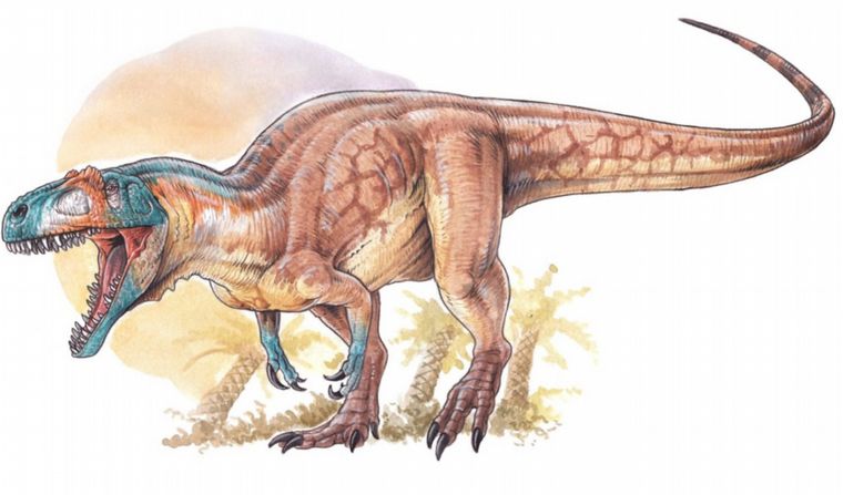 FOTO: Restos de un titanosaurio fueron hallados en el sur argentino.