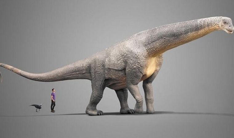 Restos de un titanosaurio fueron hallados en el sur argentino.