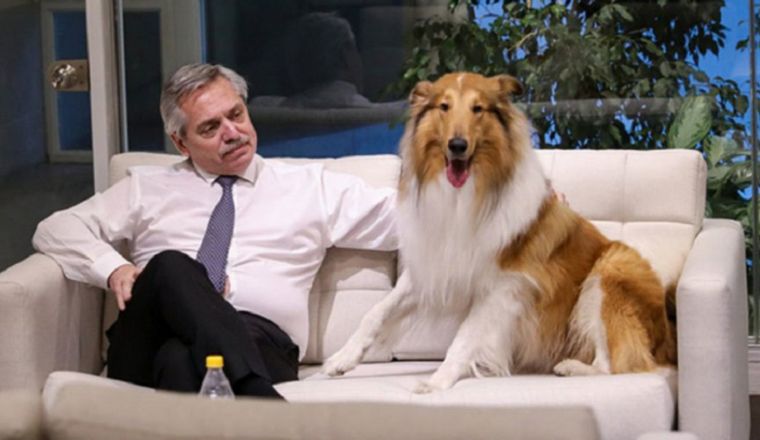 Alberto Fernández junto a su perro border collie, Dylan.
