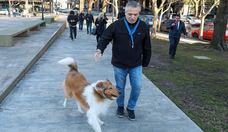 Alberto Fernández junto a su perro border collie, Dylan.