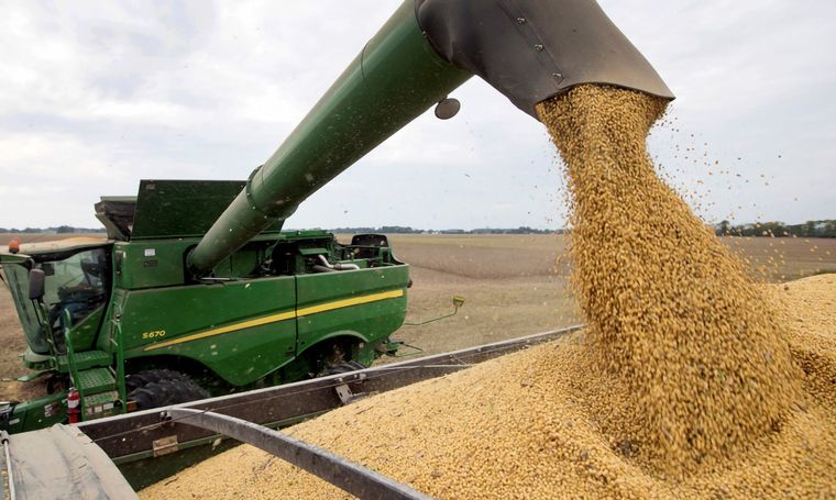 Suspendió el registro de las exportaciones agrícolas