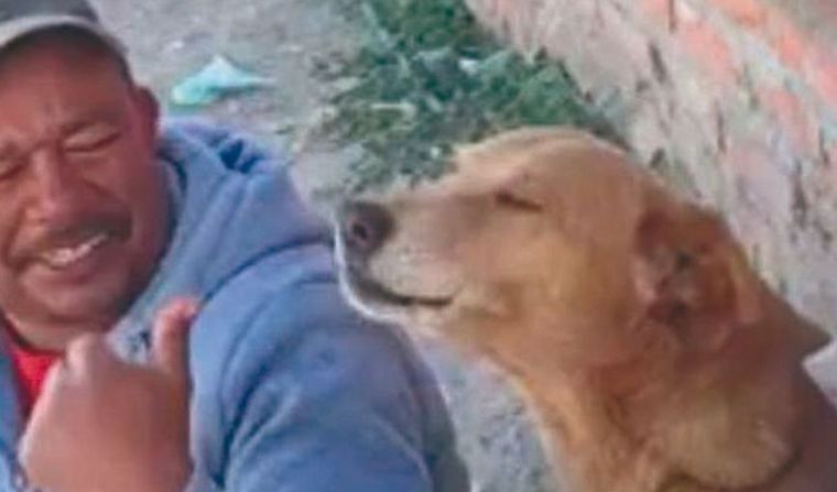 Perro cautivó a los usuarios de redes sociales