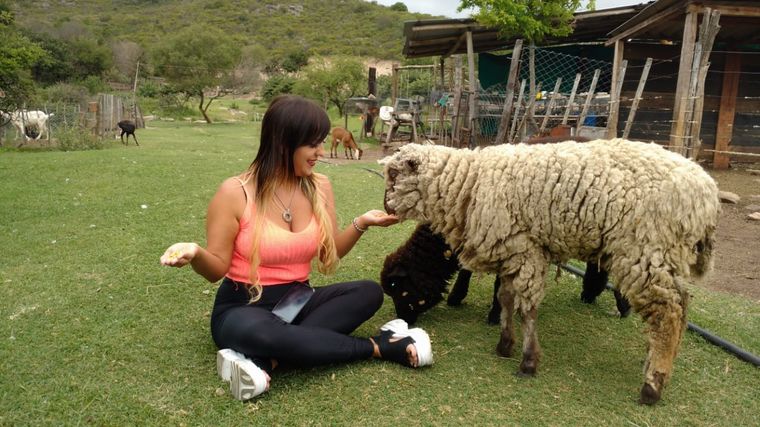 Granja Jazmín de luna, en Tanti.