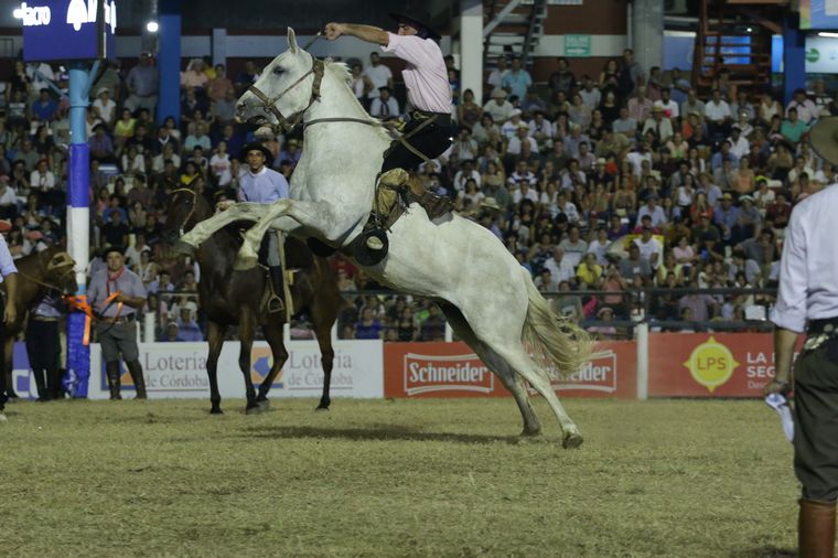 Los jinetes se lucieron fieramente en los palenques.