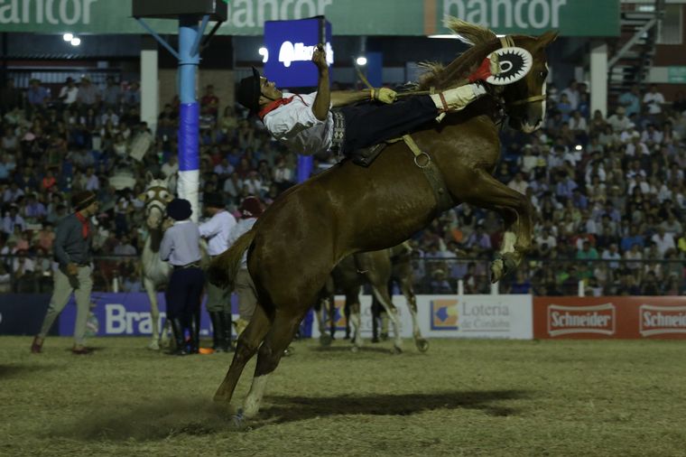 Los jinetes se lucieron fieramente en los palenques.