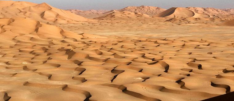 FOTO: Camellos en un paseo por el "Empty Quarter"