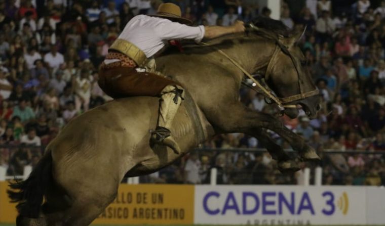 Finalmente, la doma contará con todas las delegaciones