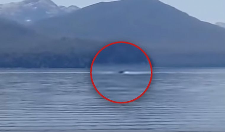 Pescadores grabaron al 