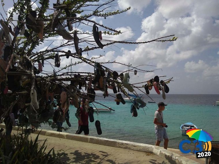 FOTO: Matias Arrieta en Bonaire (Antillas Holandesas)