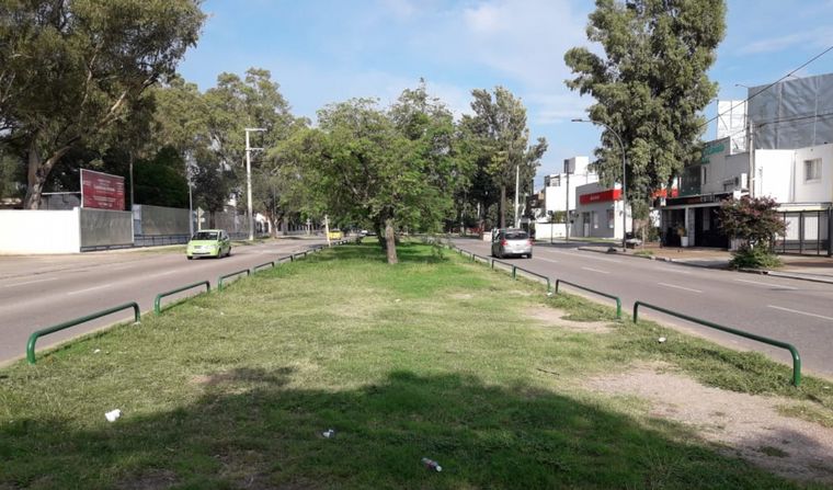 Denuncian picadas en bulevar Elías Yofre.