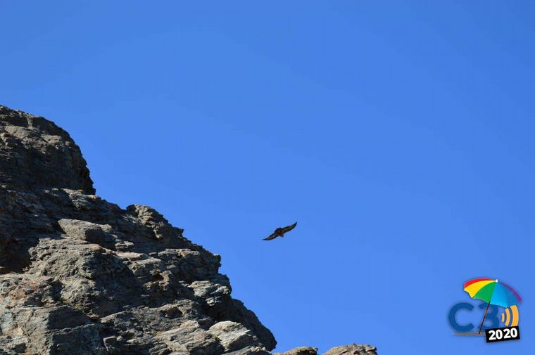 Marcela Psonkevich en el Cerro Leones.