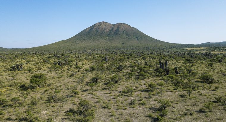 Las Palmas y Túneles
