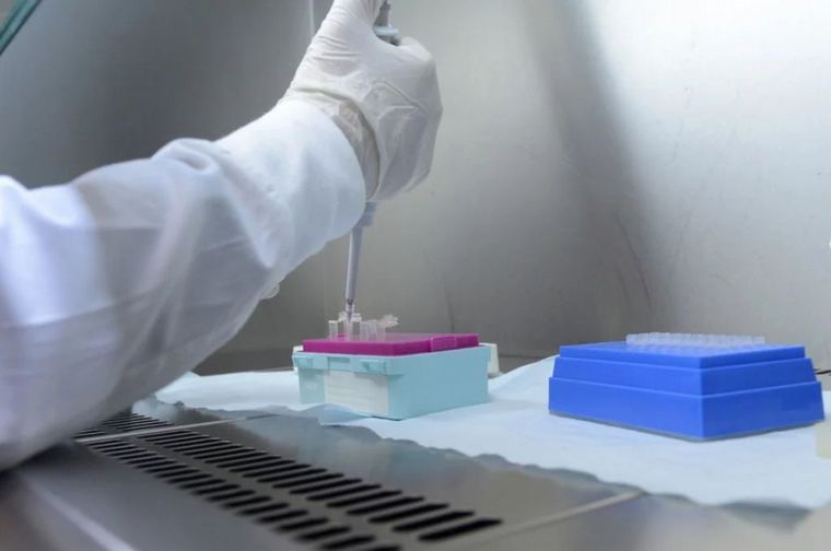 Científicos argentinos secuenciaron el genoma del coronavirus (Foto ilustrativa)