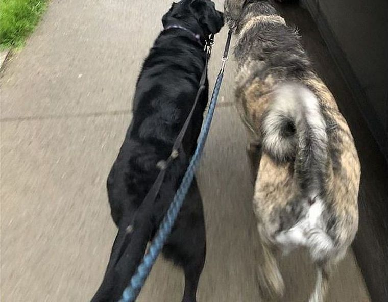 El emotivo encuentro entre los mejores amigos.