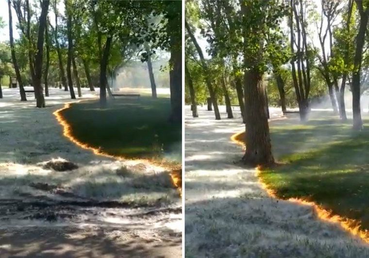 Un insólito fenómeno incendiario en España se volvió viral.