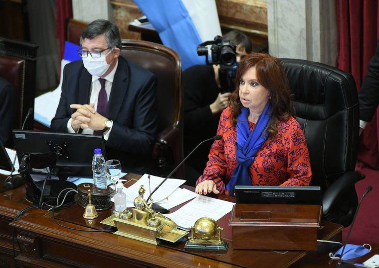 Cristina Fernández presidió la primera sesión virtual del Senado.