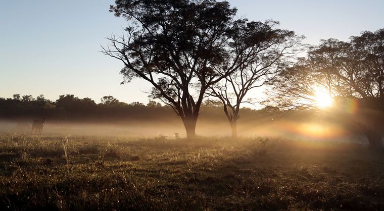 La Nasa publicó fotos de la deforestación en el Norte del país.