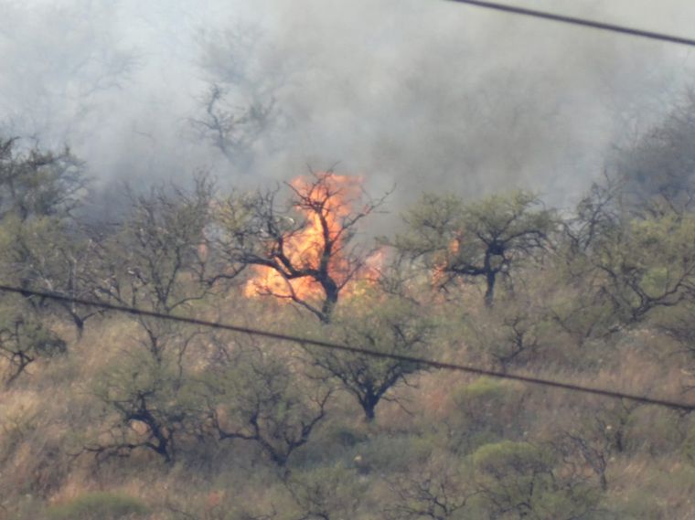 Las llamas fueron controladas en horas de la tarde.