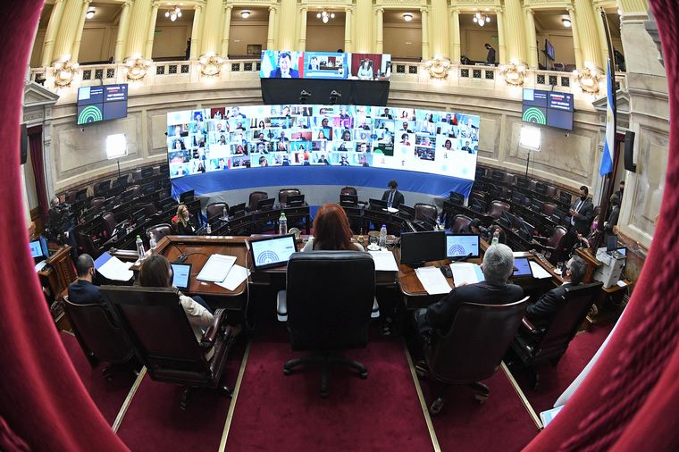 La Cámara alta sesiona con la mayoría de los legisladores vía online. 