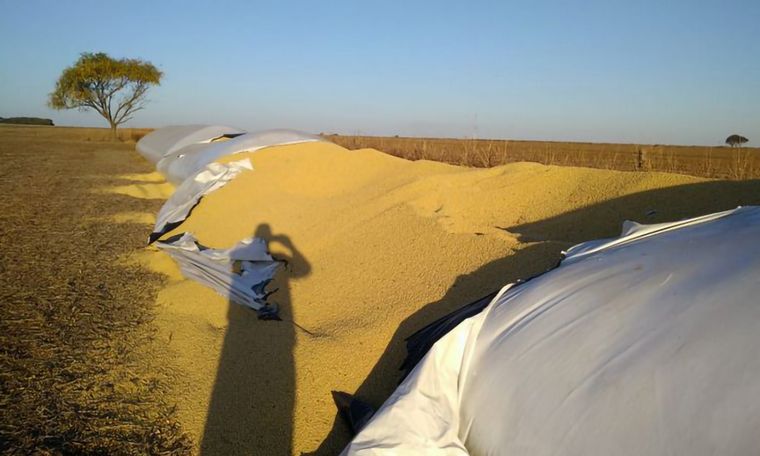 AUDIO: Productor agropecuario Jorge Bisio, víctima de robo de 23 mil kilos de soja.