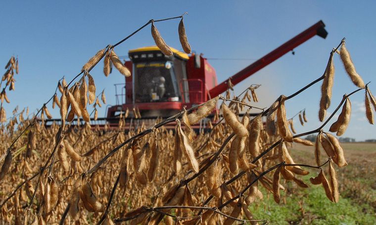 Hoy se celebra el Día del Trabajador Rural.