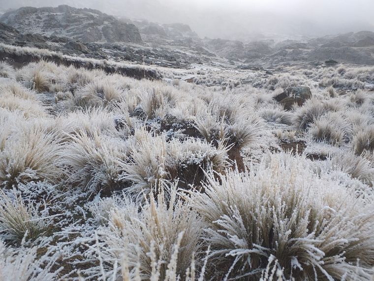 Comenzó a nevar en el Cerro Champaquí