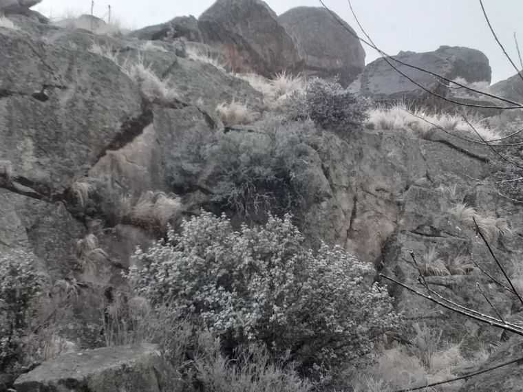 Nieve en el Cerro Champaquí (Foto: Julio Acereto)