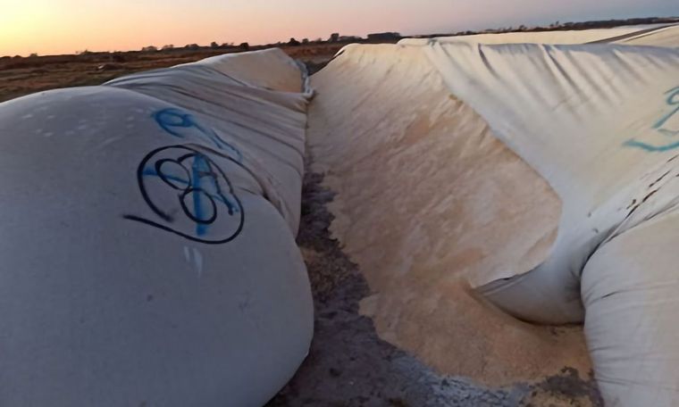 Rotura intencional de silobolsas en el Tambo Mharnes.
