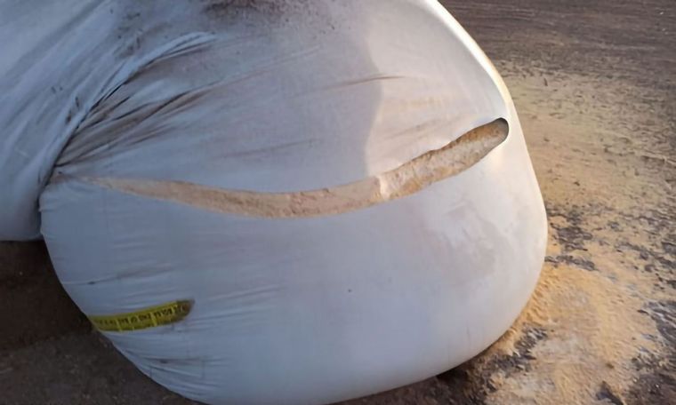 Rotura intencional de silobolsas en el Tambo Mharnes.