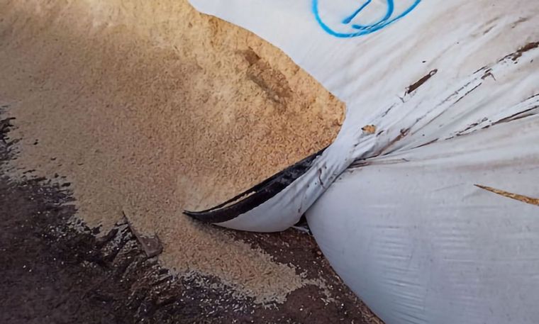 Rotura intencional de silobolsas en el Tambo Mharnes.