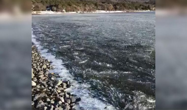 Se congeló el agua en el Canal de Beagle.