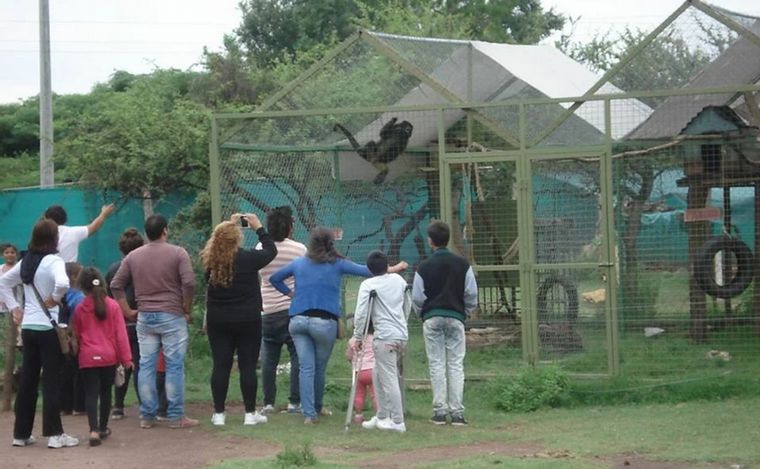 Pumakawa se sostiene hace 25 años con el aporte de los turistas. 