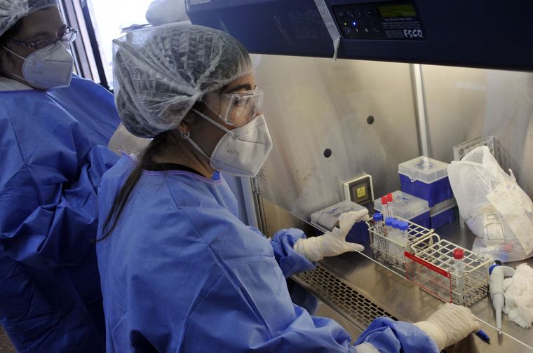 Coronavirus en Argentina