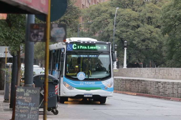 Cómo será el esquema de servicios este lunes feriado