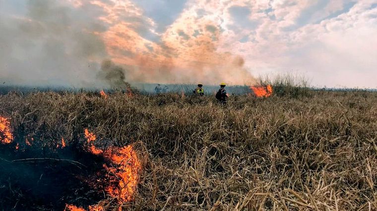 Brigadistas se sumaron al combate del fuego en el Paraná.