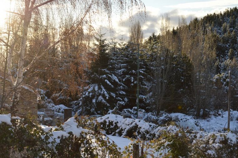 AUDIO: Bariloche atraviesa una de las mejores temporadas de nevada