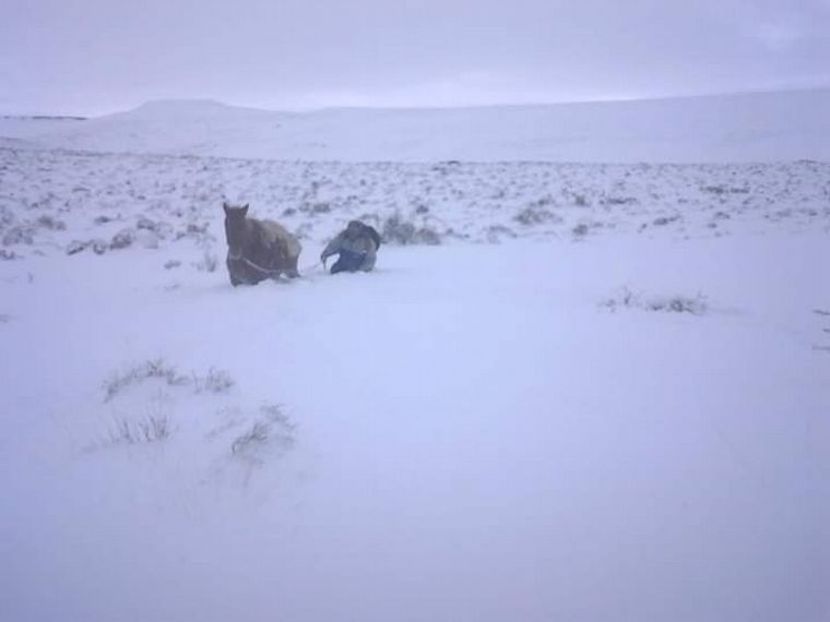 Las nevadas aislaron a un pueblo en Río Negro.