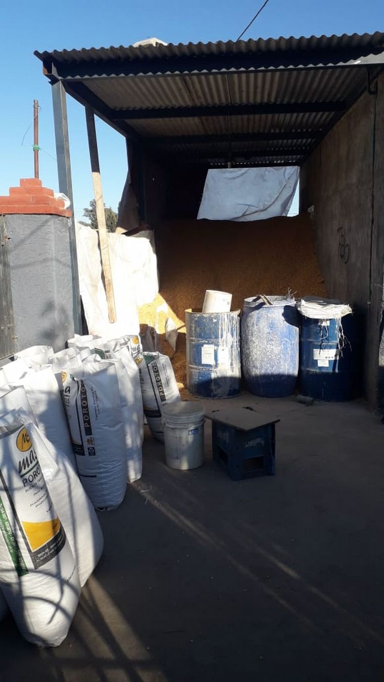 Recuperan 5 toneladas de maíz robado de vagón descarrilado.