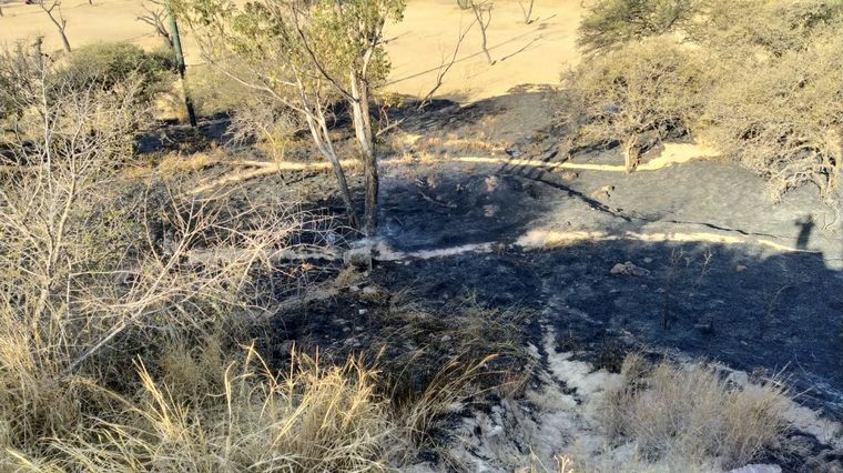 Incendio en el Parque Sarmiento de Córdoba.