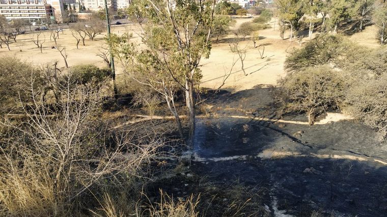 Incendio en el Parque Sarmiento de Córdoba.