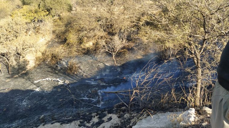 Incendio en el Parque Sarmiento de Córdoba.
