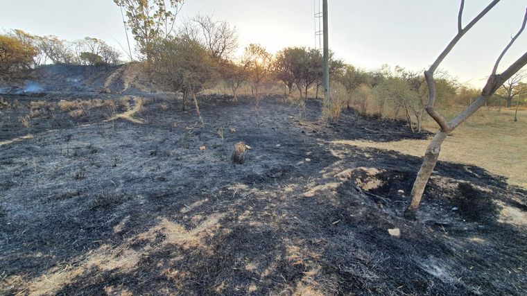 Incendio en el Parque Sarmiento de Córdoba.
