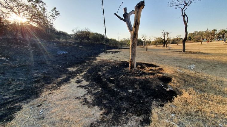 Incendio en el Parque Sarmiento de Córdoba.