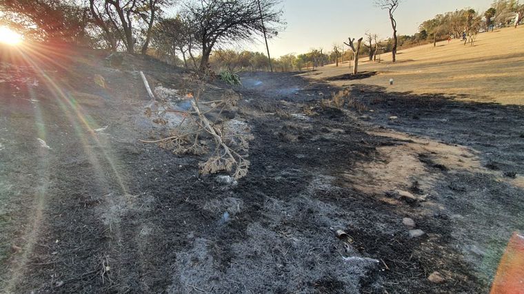Incendio en el Parque Sarmiento de Córdoba.