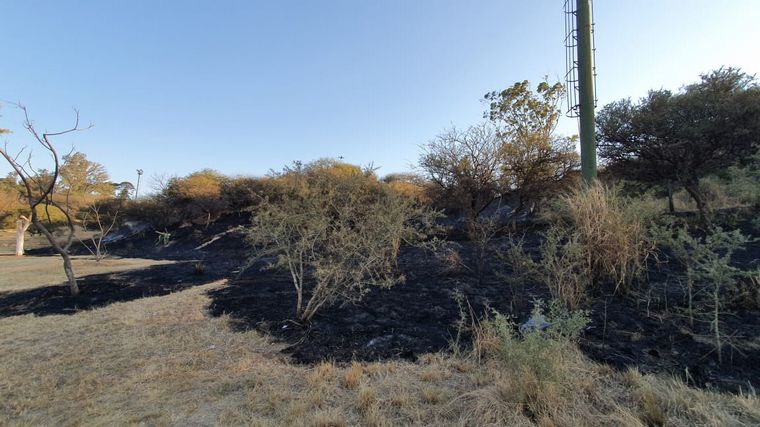 Incendio en el Parque Sarmiento de Córdoba.