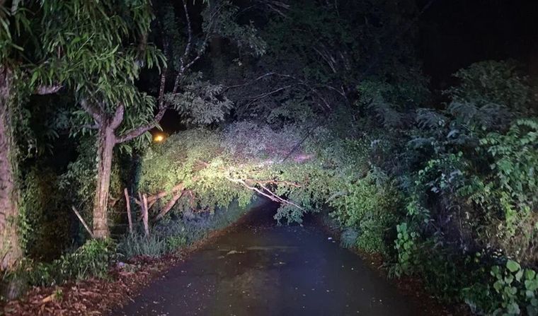 Tormenta Isaías (Foto: elnuevodía.com)