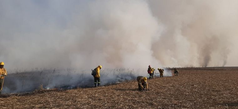 Brigadistas y bomberos combaten el incendio en las islas del Paraná